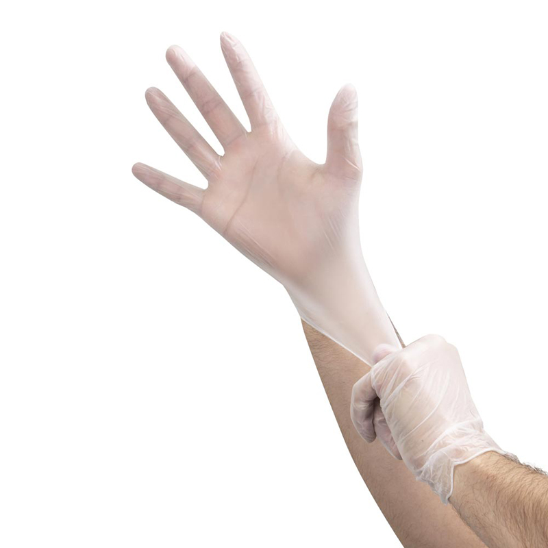 powder free disposable vinyl gloves